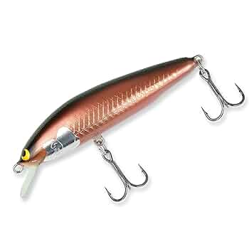 Amazon.co.jp: 【WooDream】 ウッドリーム Arbor 70F HR